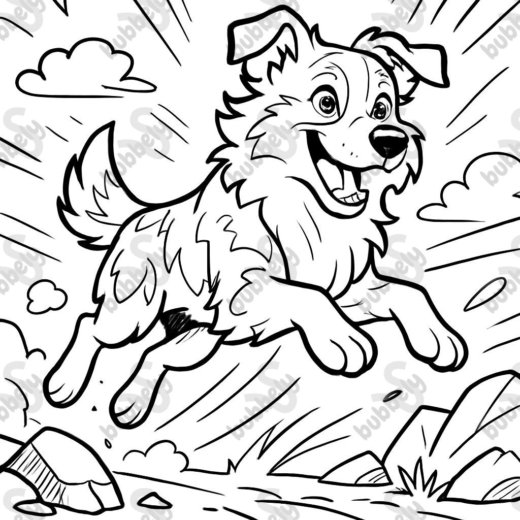 Perro pastor australiano Perro pastor australiano