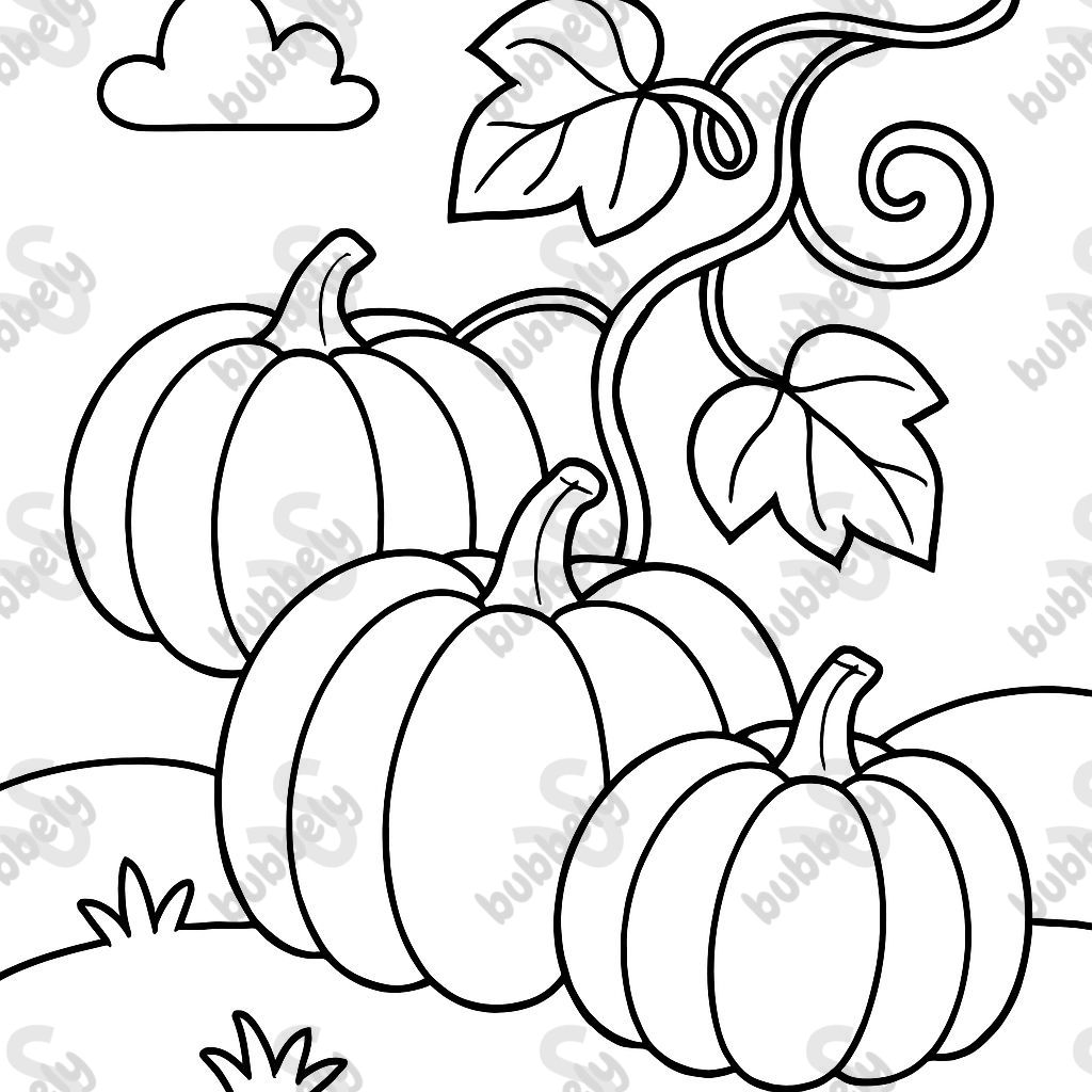 calabazas en una vid calabazas en una vid